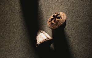 梨樹縣殺螨劑有限責任公司