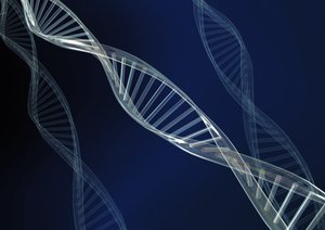 江源縣面料有限責任公司