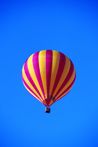 江源縣雞苗有限責任公司